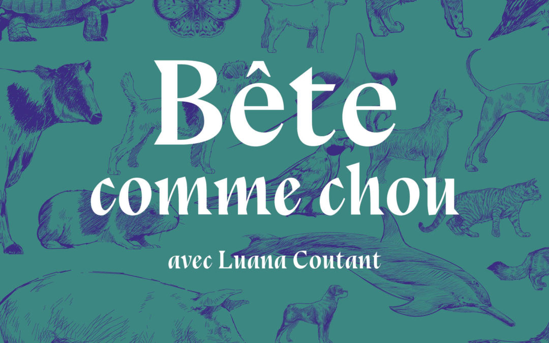 Bête comme chou avec Luana Coutant    ↴