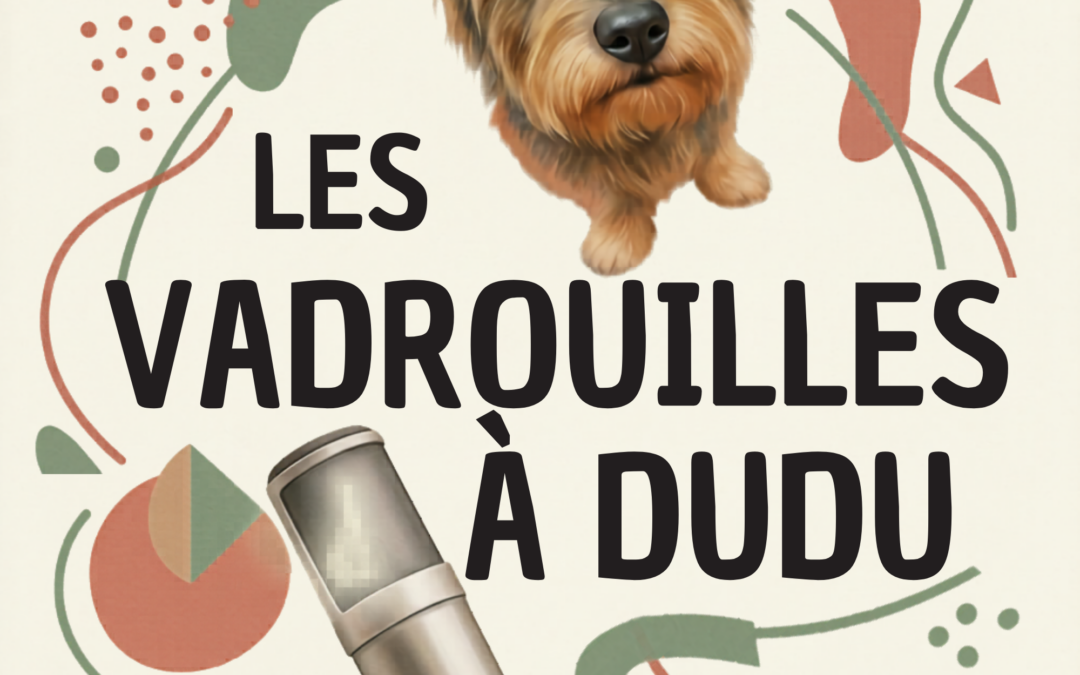 Les Vadrouilles à Dudu ↴
